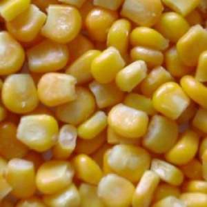 Быстрозамороженные овощи от производителя (кукуруза, горошек, перец, лук)