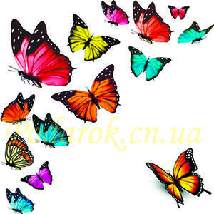 Наклейка на коробочку 001
