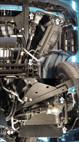 Защита MOTODOR радиатора Nissan Cabstar  2006- шасси