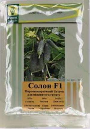 Огурец Солон F1 2500 семян. (Yuksel Seeds) Огурец Солон F1 2500 семян. (Yuksel Seeds)