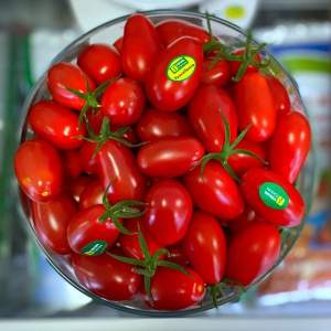 Помидоры Пекбол F1 100 семян. (Yuksel Seeds) Помидоры Пекбол F1 100 семян. (Yuksel Seeds)